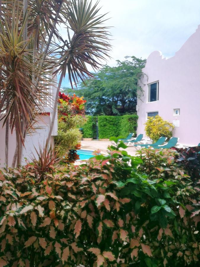אורנג'סטאד Agua Clara Eco Suites מראה חיצוני תמונה